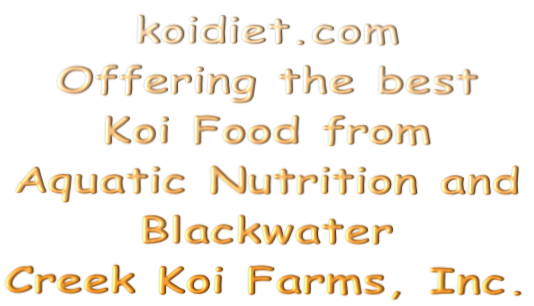 koidiet.com Offering the best  Koi Food from  Aquatic Nutrition and  Blackwater  Creek Koi Farms, Inc.